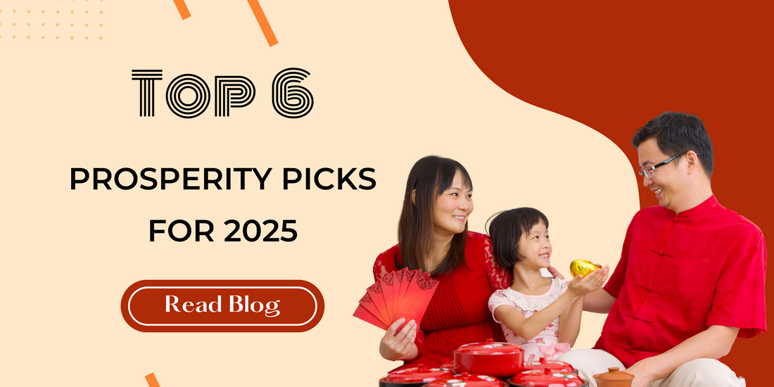 Top 6 Prosperity Picks for 2025