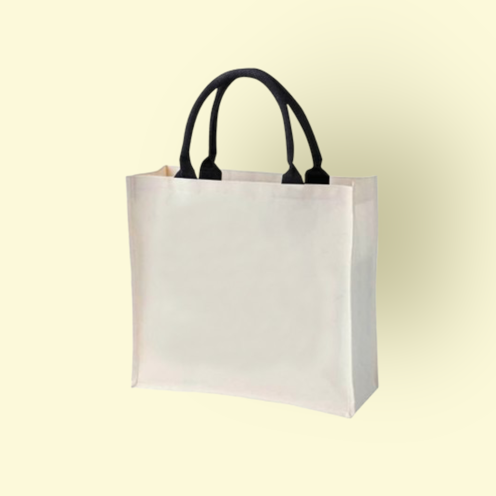 Laminated Canvas Bag Big Size