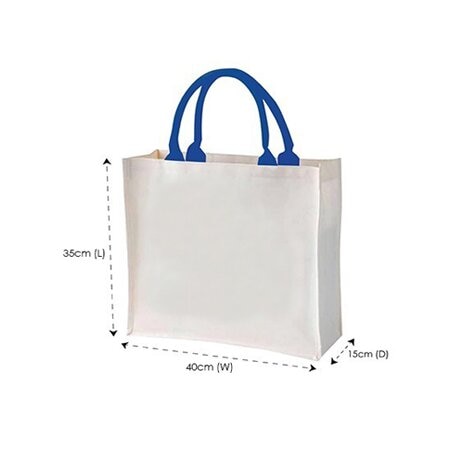 Laminated 2025 canvas bag